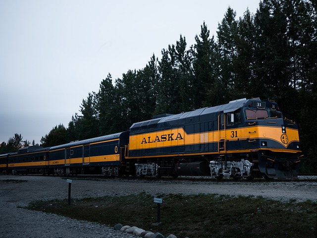 アラスカ鉄道の旅　冬のフェアバンクスからアンカレッジ